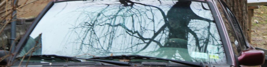 art-of-sandy-staten-island--cars-reflection-GOH_5027.jpg