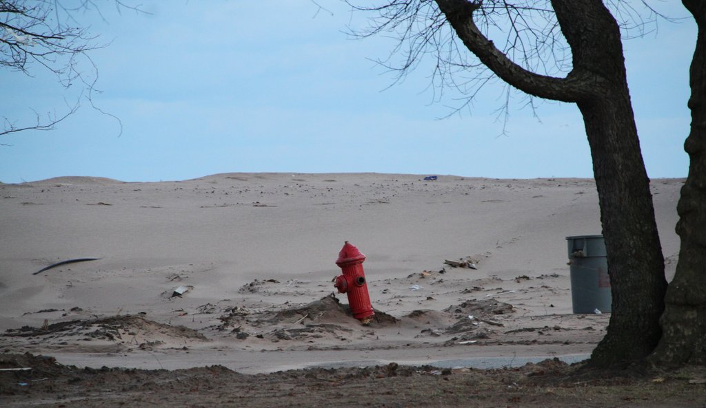 art-of-sandy-staten-island-cedar-grove-fire-hydrant-GOH_6231.jpg