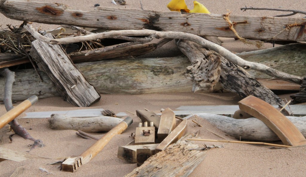 art-of-sandy-staten-island-drift-wood-sculpture-GOH_5208.jpg