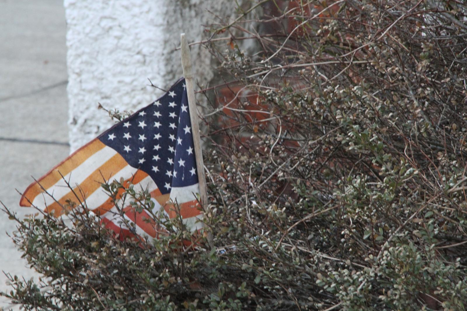 art-of-sandy-long-island-1-5-2013-long-beach-flags-GOH_5943.jpg