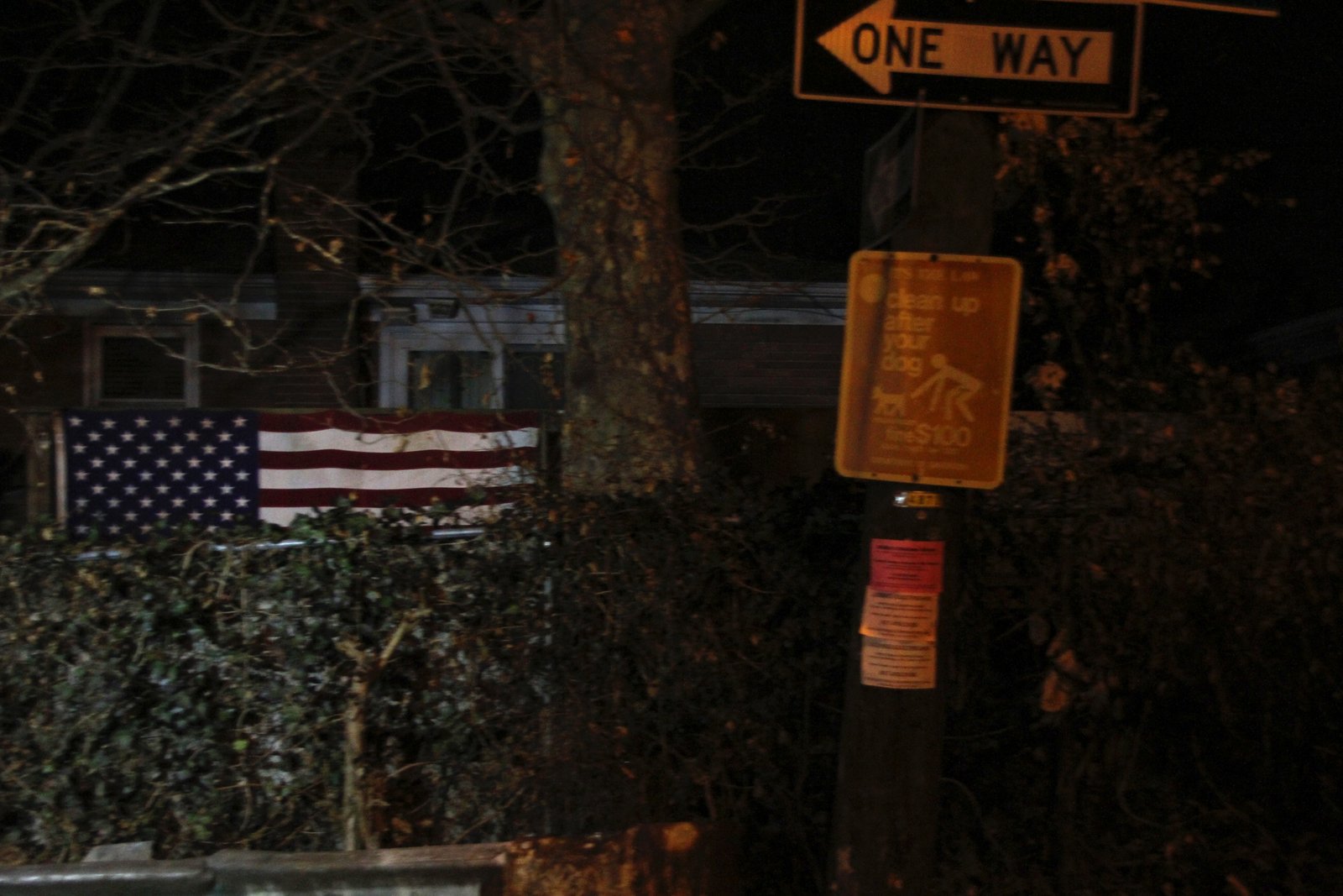art-of-sandy-staten-island-flags-GEX_0074.jpg