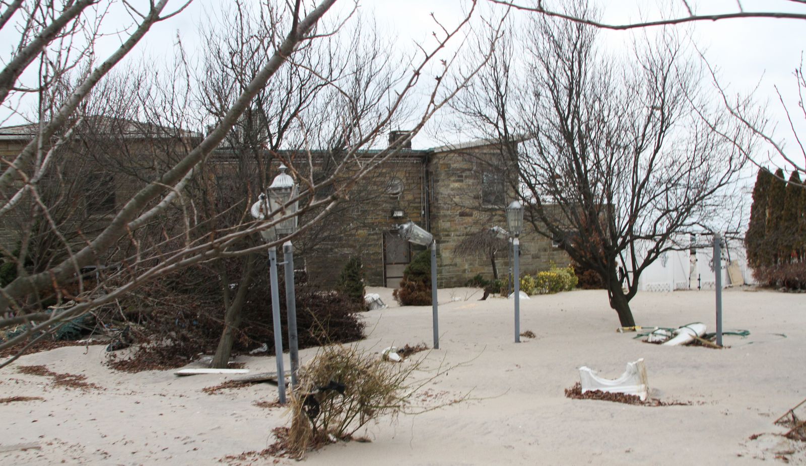 art-of-sandy-seagate--1-1-2013-GOH_3270.jpg