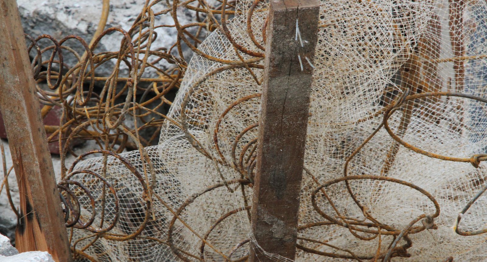 art-of-sandy-seagate--1-1-2013-GOH_3570.jpg