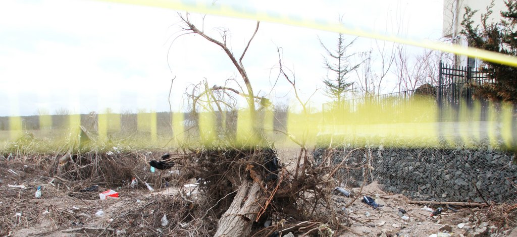 art-of-sandy-staten-island--throwing-caution-to-the-wind-GOH_5065.jpg