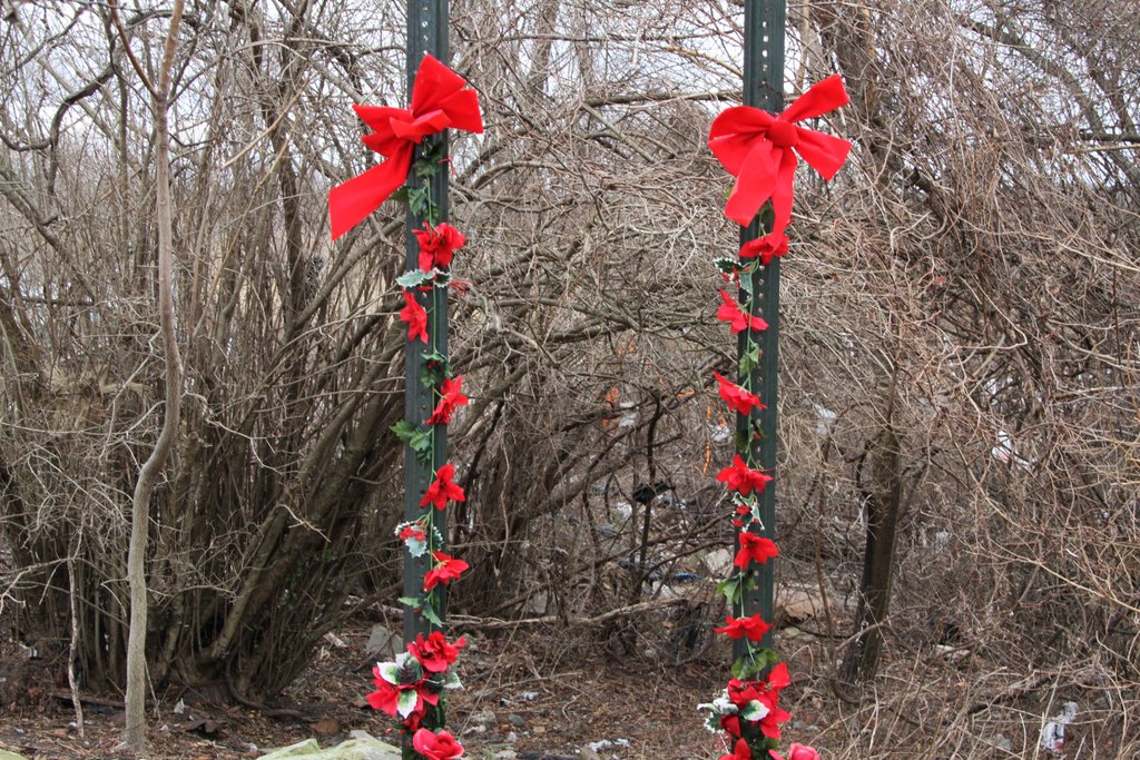 art-of-sandy-staten-island-GOH_4982.jpg