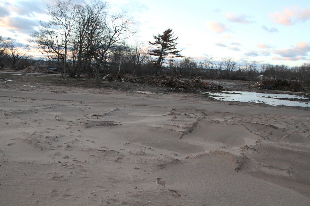 art-of-sandy-staten-island-cedar-grove-GOH_6128.jpg