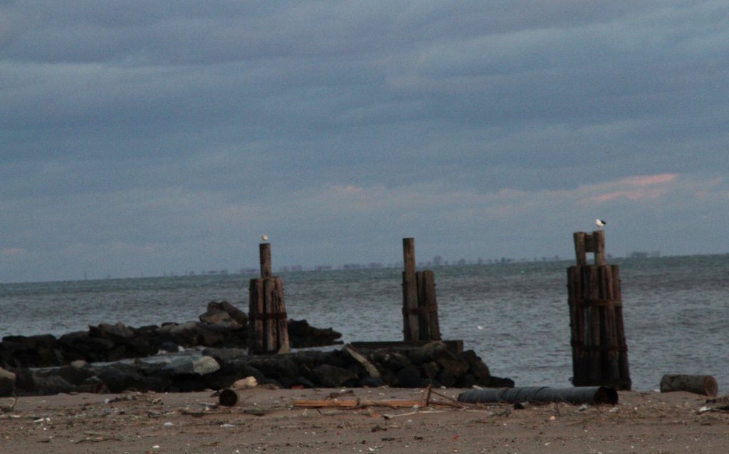 art-of-sandy-staten-island-cedar-grove-GOH_6142.jpg