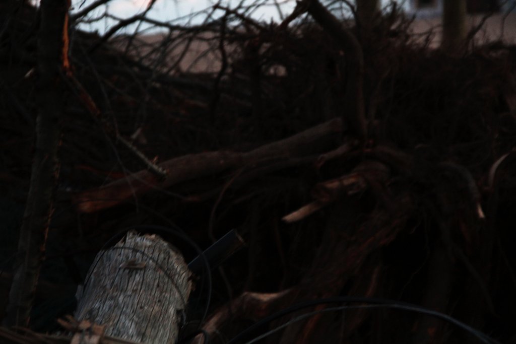 art-of-sandy-staten-island-cedar-grove-GOH_6298.jpg