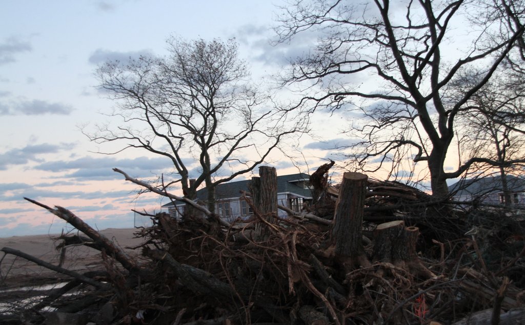 art-of-sandy-staten-island-cedar-grove-GOH_6315.jpg
