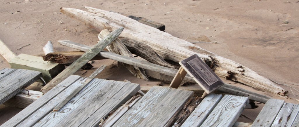 art-of-sandy-staten-island-drift-wood-sculpture-GOH_5167.jpg