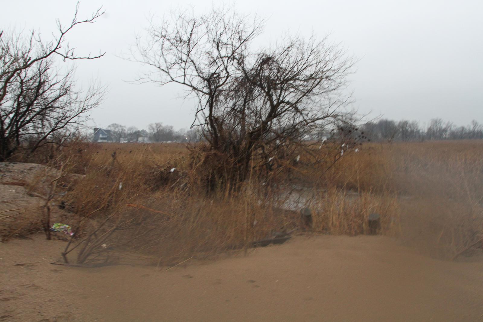 art-of-sandy-staten-island-GOH_9092.JPG