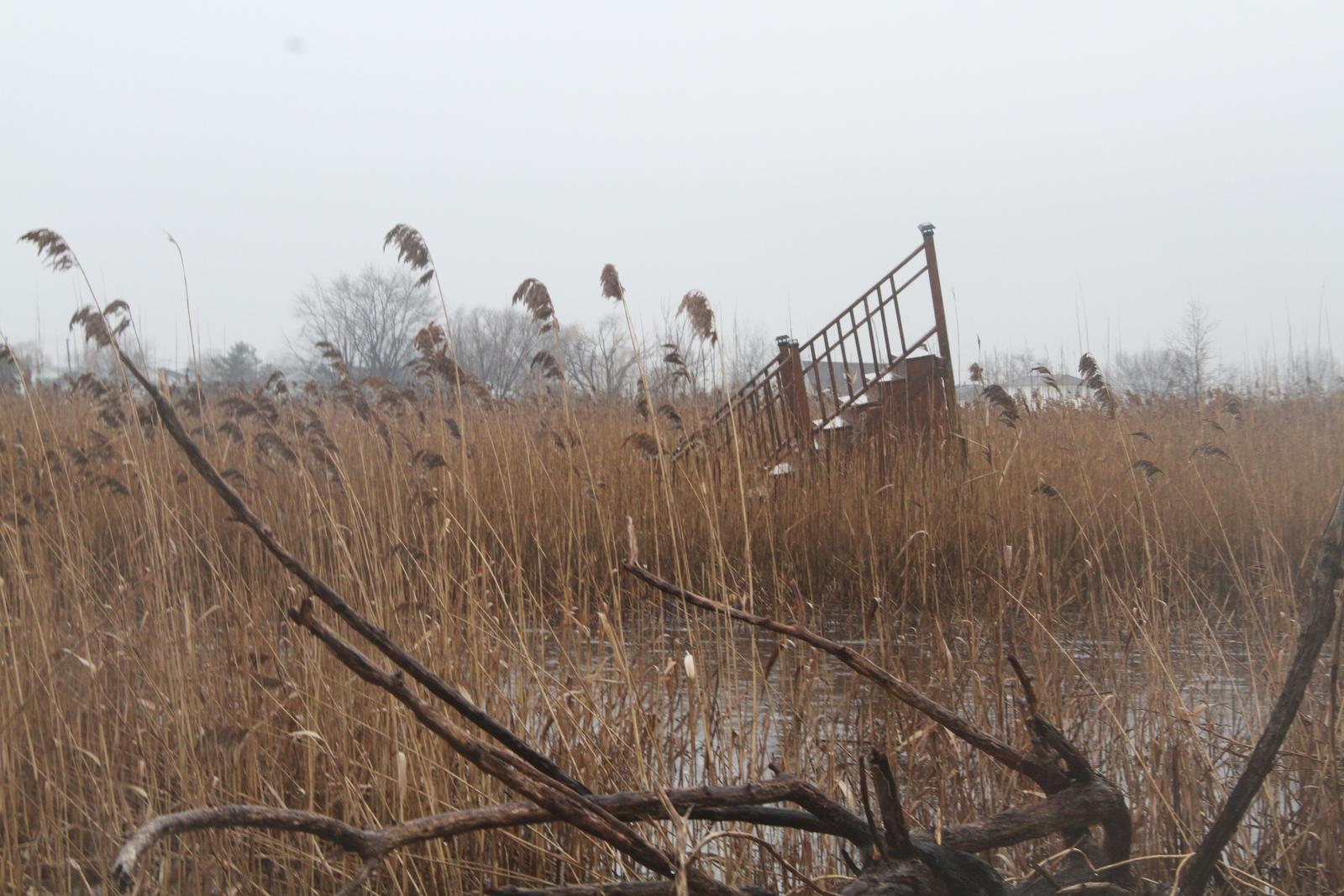 art-of-sandy-staten-island-stairs-to-nowhere-GOH_8963.JPG